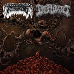 Bloodsoaked Necrovoid / Defunto - Split 7" LP
